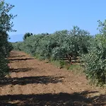Tatil Evi Ecolive