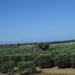 Ecolive