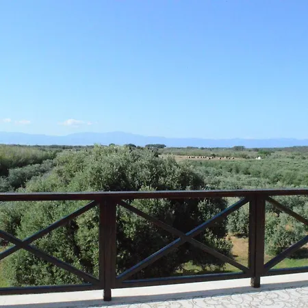 Ecolive Ayios Epiphanios