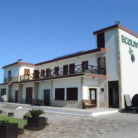 Ecolive Ayios Epiphanios