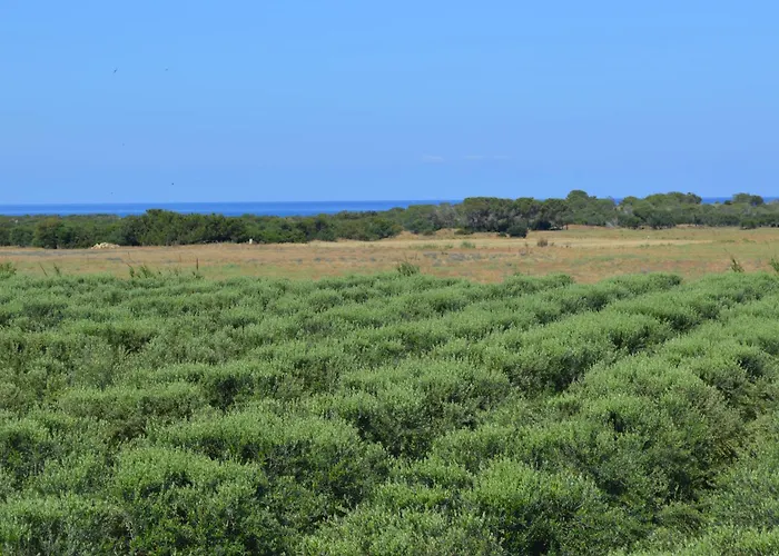 Ecolive Prázdninový dům *