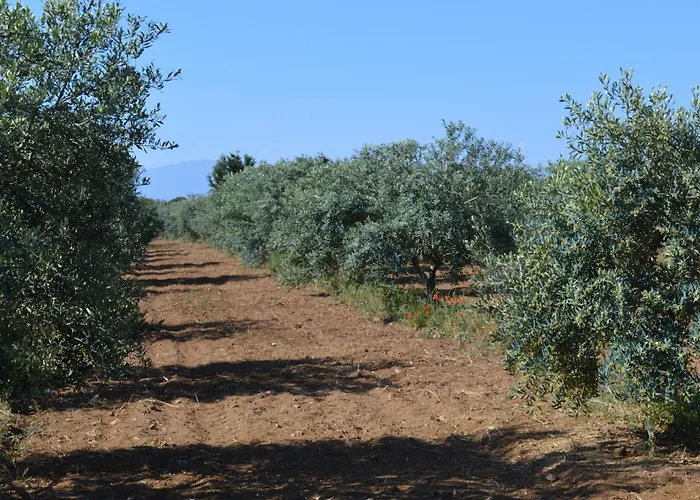 Prázdninový dům Ecolive