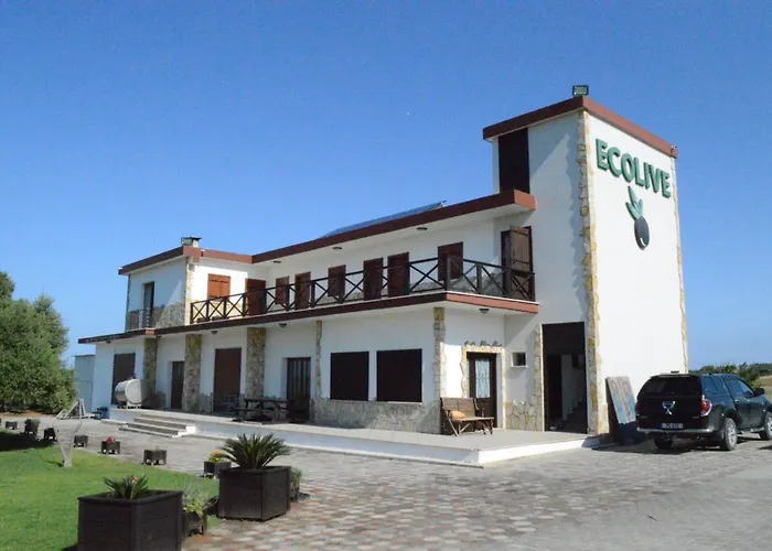 Ecolive Ayios Epiphanios