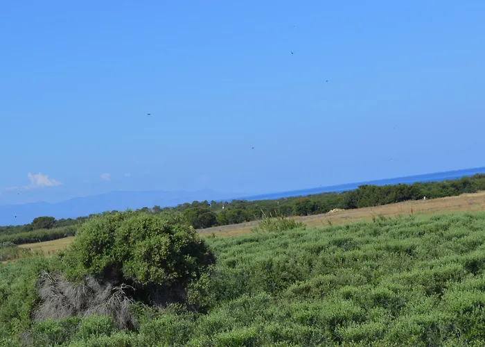 Ecolive Ayios Epiphanios