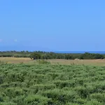 Сasa de vacaciones Ecolive *
