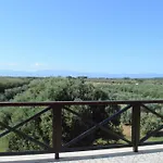 Ecolive Ayios Epiphanios