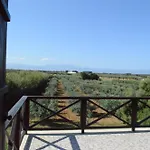 Ecolive Ayios Epiphanios
