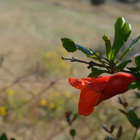 Ecolive Casa vacanze