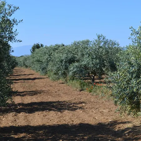 Casa vacanze Ecolive