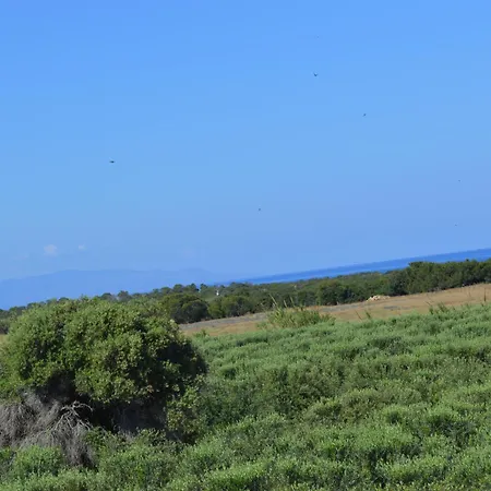 Ecolive Ayios Epiphanios