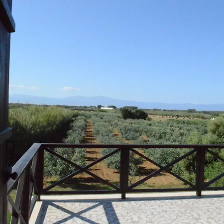 Ecolive Ayios Epiphanios