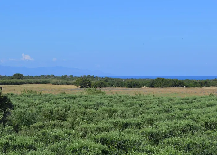 Case de vacanță Ecolive *