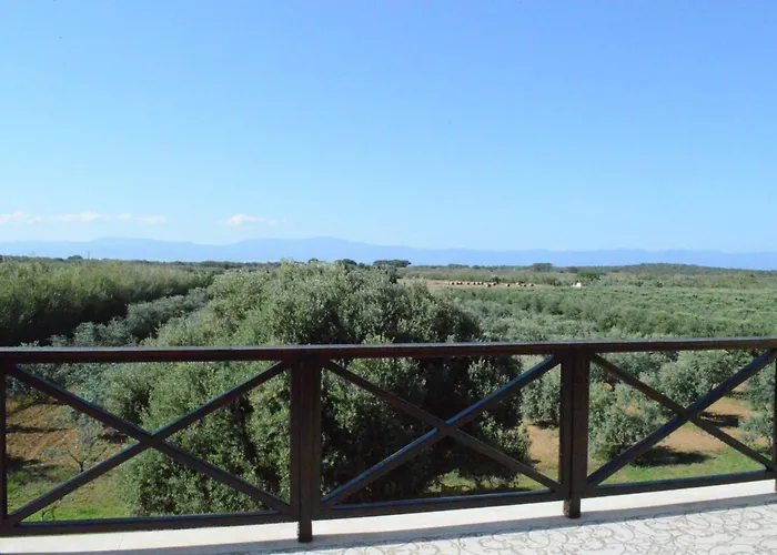 Ecolive Ayios Epiphanios