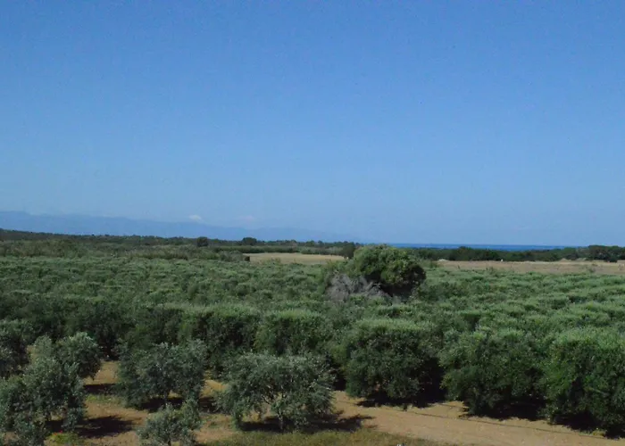 Ecolive Case de vacanță Ayios Epiphanios