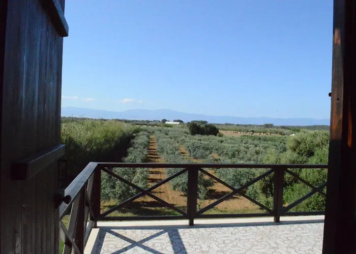 Ecolive Ayios Epiphanios