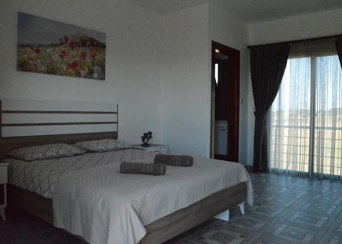 Case de vacanță Ecolive